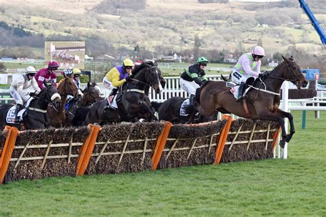 16.50 cheltenham|mares novice hurdle cheltenham.